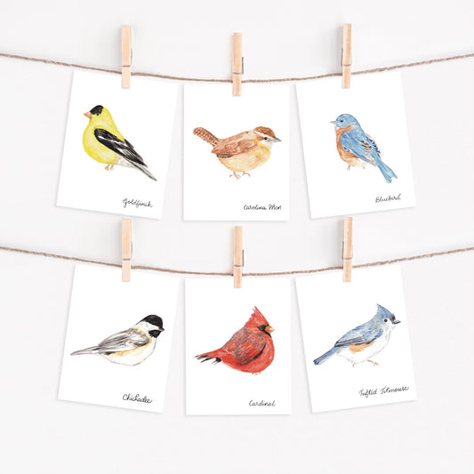 Bird Collection Cards
