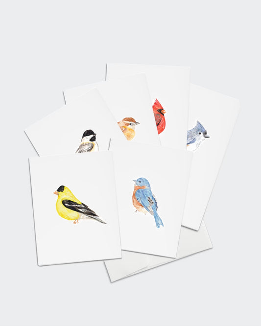 Bird Note Cards