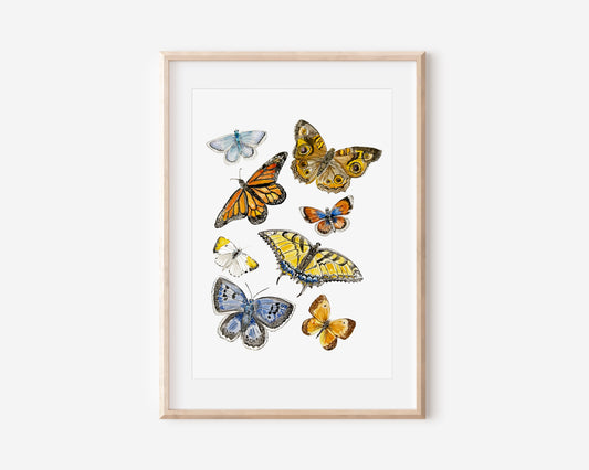 Butterfly Print